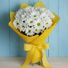 Букет цветов из:  Хризантемы в Шлиссельбурге