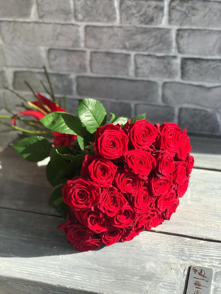 Букет Красные розы Фридом в Шлиссельбурге