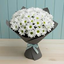 Букет цветов из:  Хризантемы в Шлиссельбурге