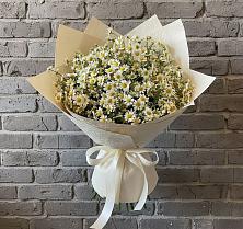 Букет цветов из:  Ромашки в Шлиссельбурге