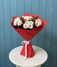 Букет цветов из:  Хризантемы в Шлиссельбурге