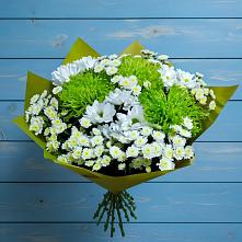 Букет цветов из:  Хризантемы в Шлиссельбурге