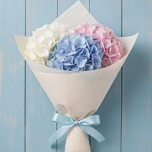 Букет цветов из:  Гортензия #REPLACE_PRED# Шлиссельбурге