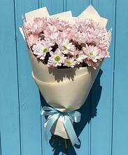 Букет цветов из:  Хризантемы в Шлиссельбурге