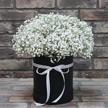 Цветочная композиция из Гипсофила в шляпной коробке в Шлиссельбурге