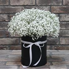 Цветочная композиция из Гипсофила в шляпной коробке в Шлиссельбурге