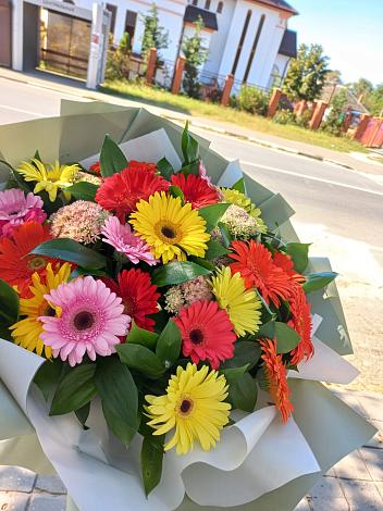 Букет цветов из: Герберы в Шлиссельбурге
