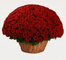 Премиум букет из: Розы #REPLACE_PRED# Шлиссельбурге