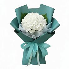 Букет цветов из:  Гортензия в Шлиссельбурге